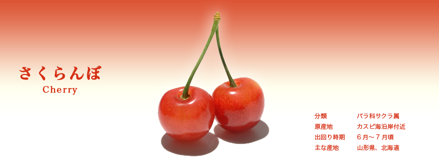 さくらんぼ
