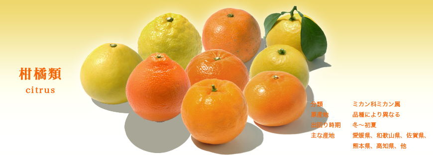 柑橘類