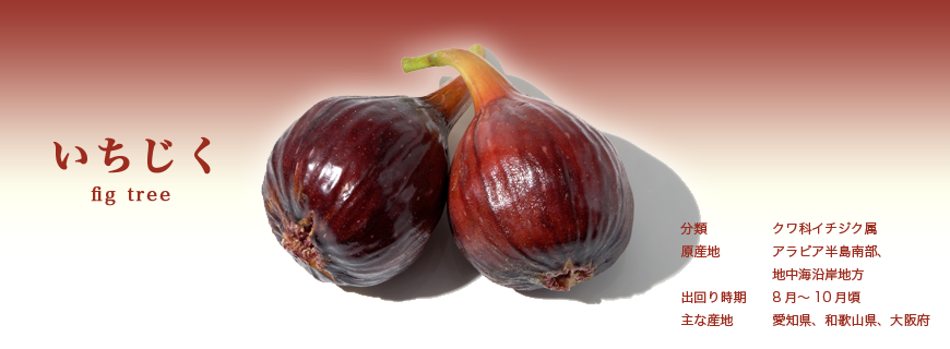 いちじく