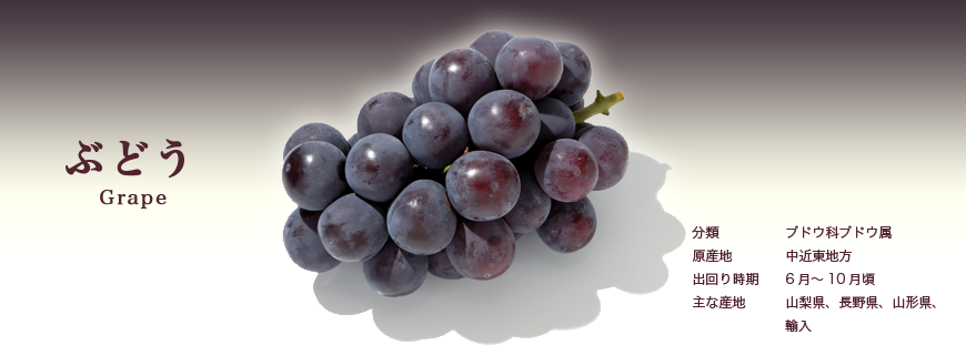 ぶどう