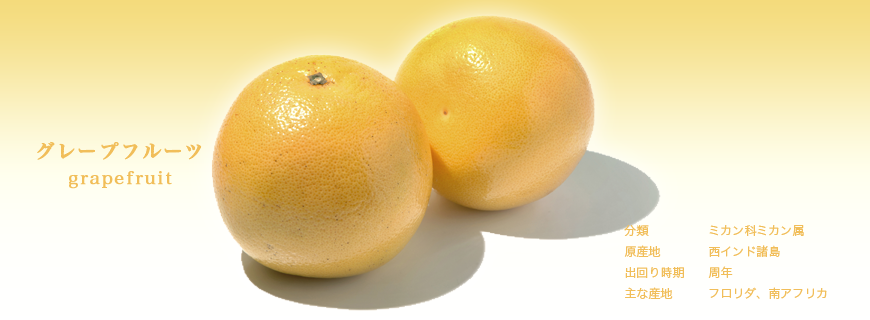 グレープフルーツ