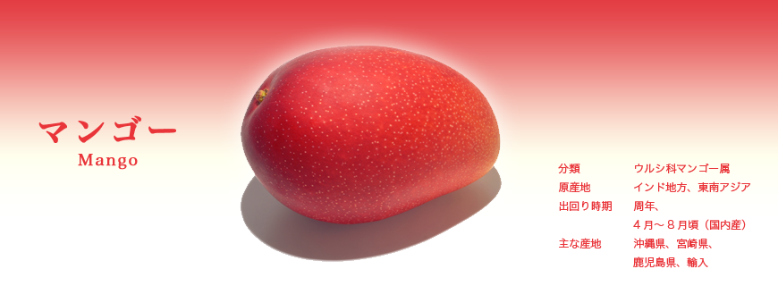 マンゴー