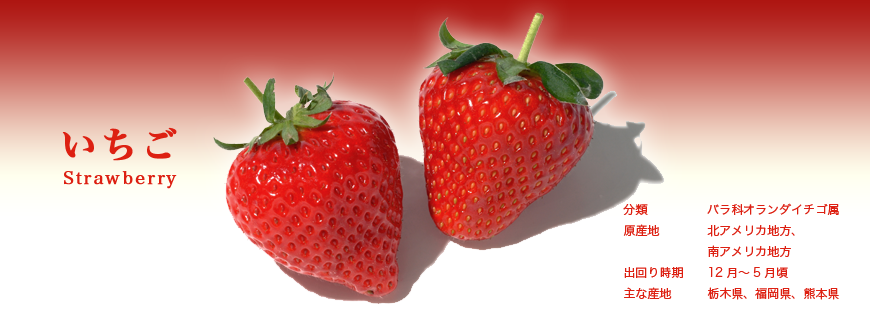 いちご