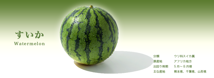 スイカ