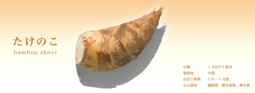 たけのこ