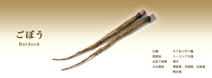 ごぼう