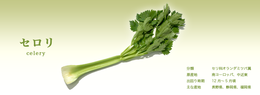 セロリー