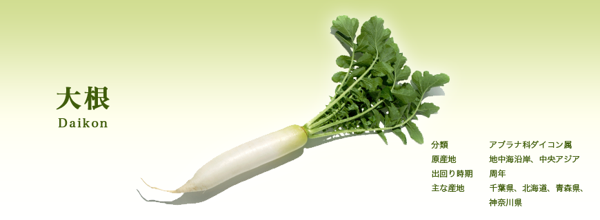 大根