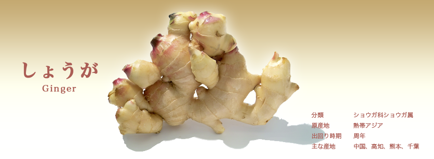 しょうが
