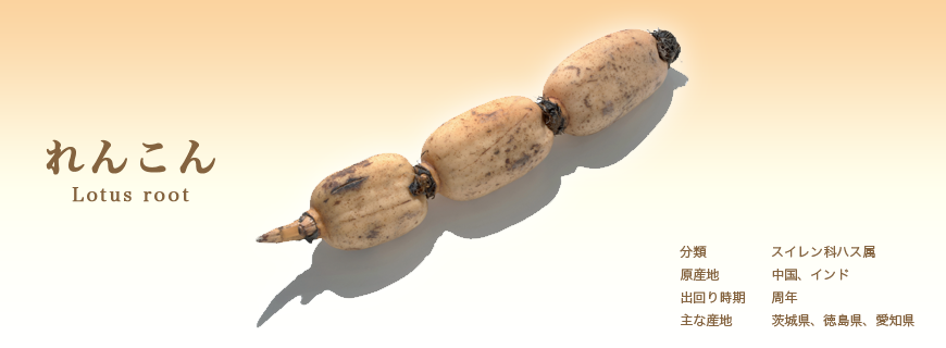 れんこん
