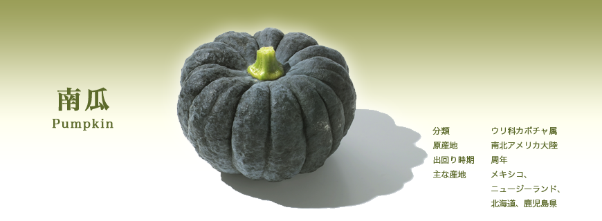 かぼちゃ
