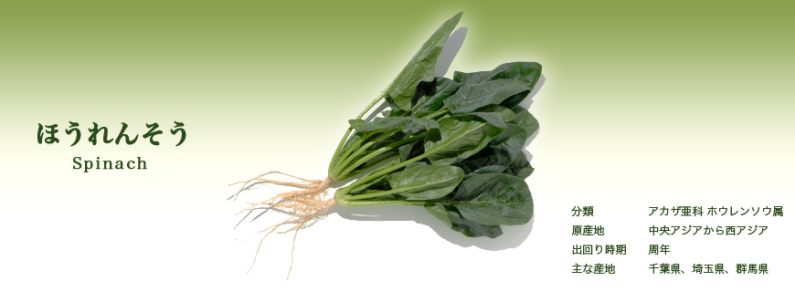 ほうれんそう