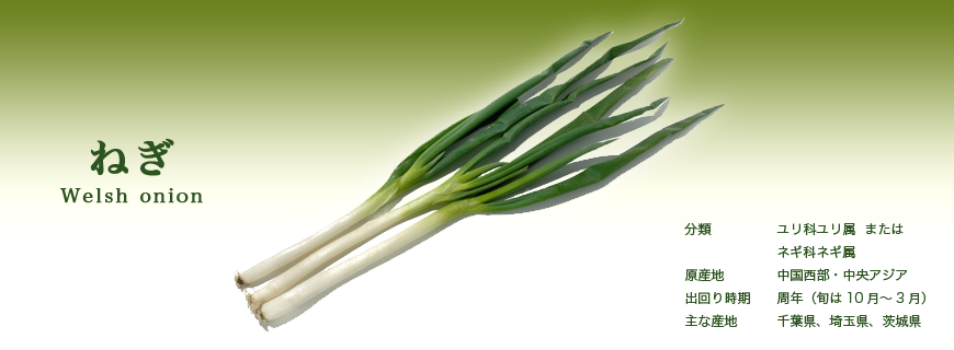 ねぎ